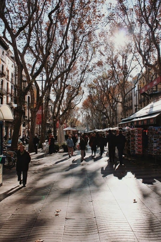 Calle de La Rambla en otoño en Barcelona llena de personas caminando entre árboles en otoño.