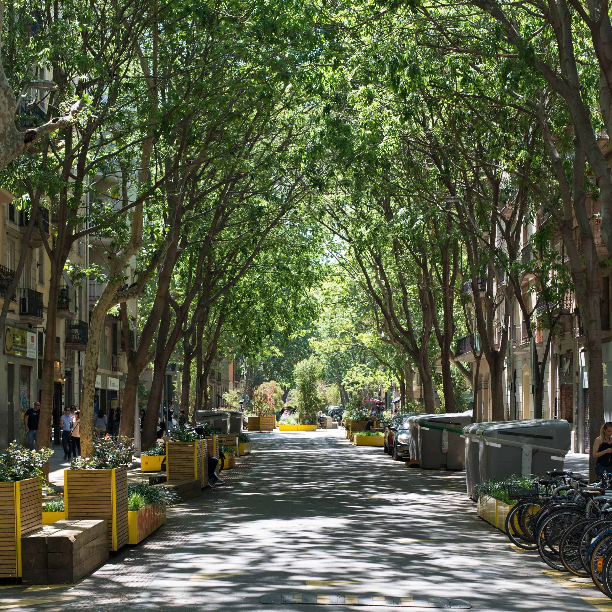 Calle urbana amplia con muchos árboles formando un túnel verde, bancos de madera, bicicletas estacionadas y edificios a ambos lados durante un día soleado.